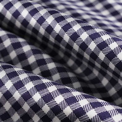 Flanella  Bianco e blu